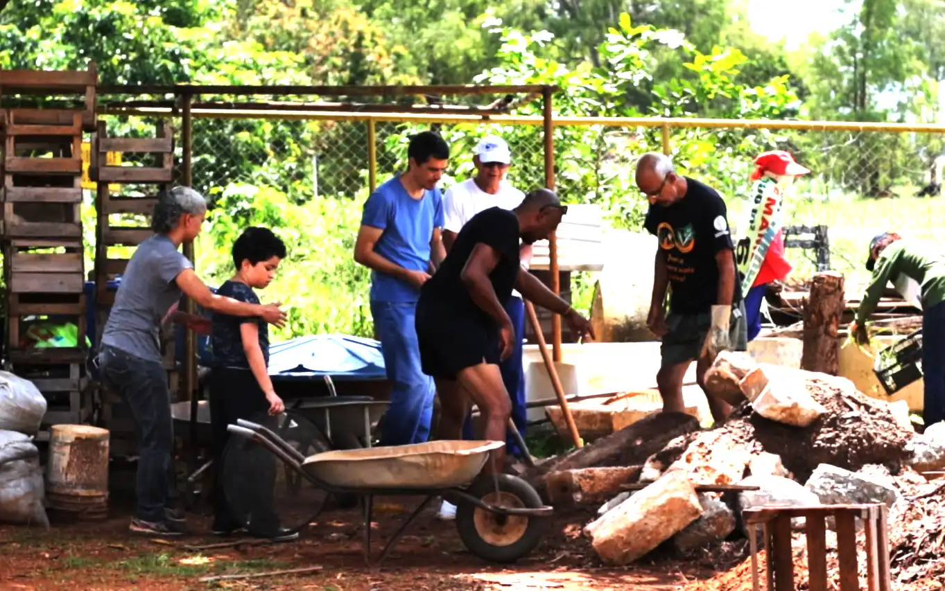 O curso proporciona uma rica combinação de conhecimentos práticos e teóricos sobre os desafios e soluções da agricultura urbana. Os participantes terão acesso a experiências práticas e conhecimentos inovadores para aplicar em projetos pessoais ou espaços comunitários. Além disso, incentiva o empreendedorismo sustentável, fornecendo confiança e habilidade técnica para atuar no mercado.